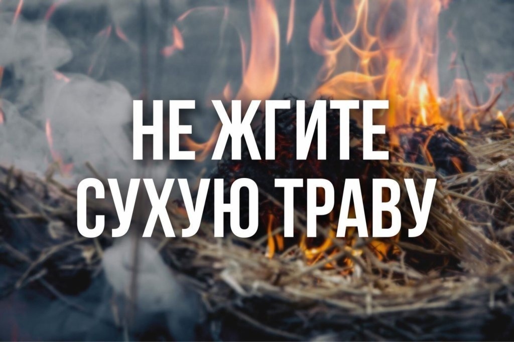 На выходные в Красноярском крае вводится особый противопожарный режим.